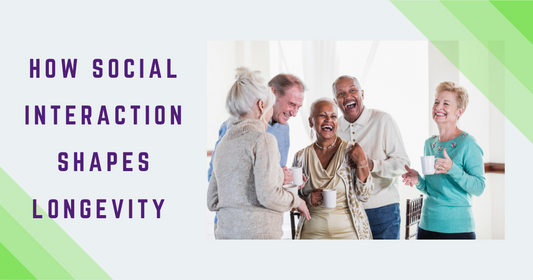 How Social Interaction Shapes Longevity: A Deep Dive