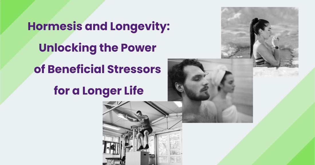 Hormesis and Longevity: Harnessing Beneficial Stress for Healthier, Longer Living