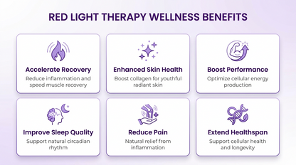 R4 Professional Red Light Therapy Bed